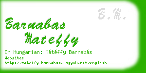 barnabas mateffy business card