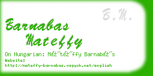 barnabas mateffy business card